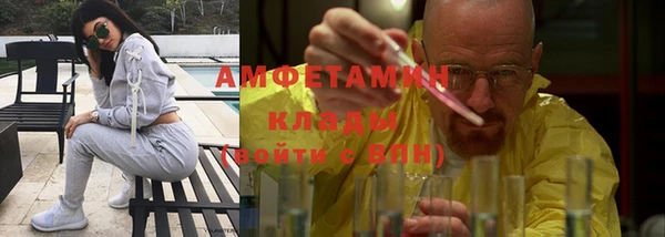 стафф Алзамай