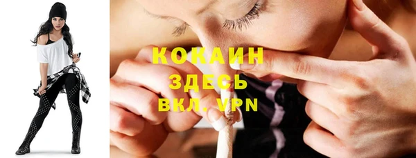 стафф Алзамай