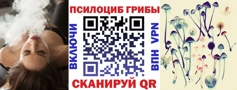 купить наркотики сайты  Арамиль  Галлюциногенные грибы Cubensis 